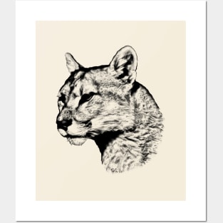 Mountain lion Posters and Art